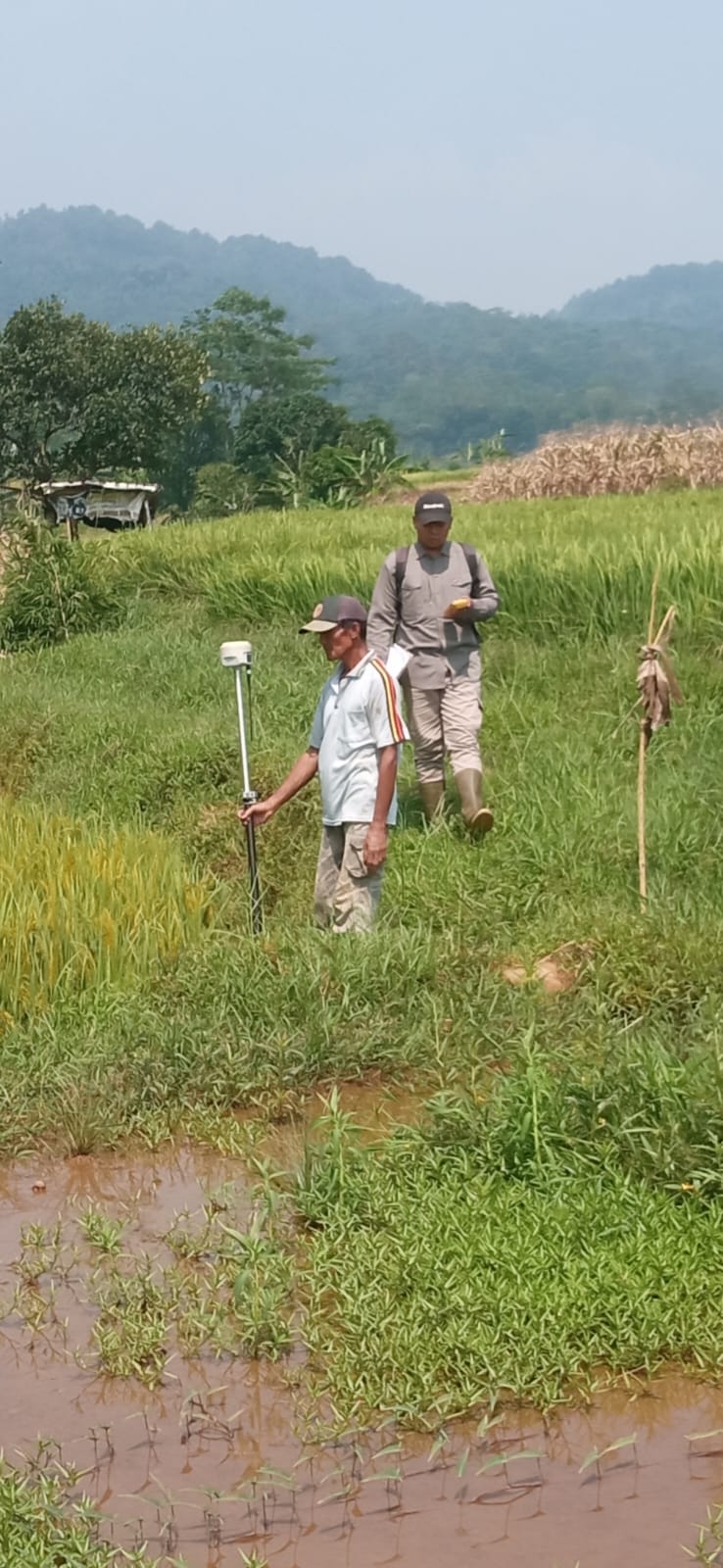 Tuntaskan PTSL, Kantor Pertanahan Kabupaten Batang Lakukan Penyelesaian Kegiatan Pengukuran Desa Sukorejo Kec. Limpung