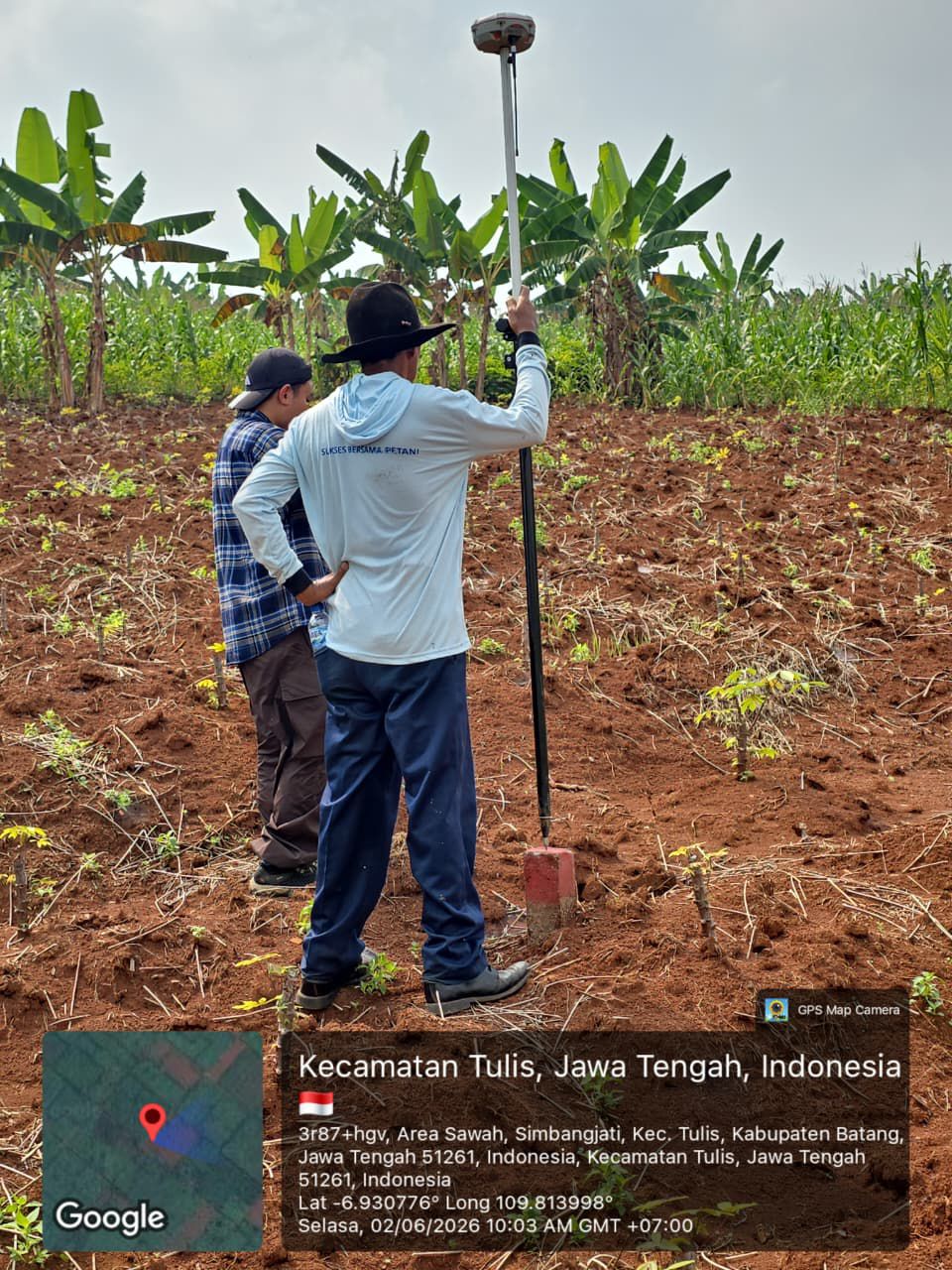 Petugas Ukur Kantah Batang Lakukan Pelaksanaan Pengukuran Pemecahan Bidang PT. Simbangjati Bahagia Batang